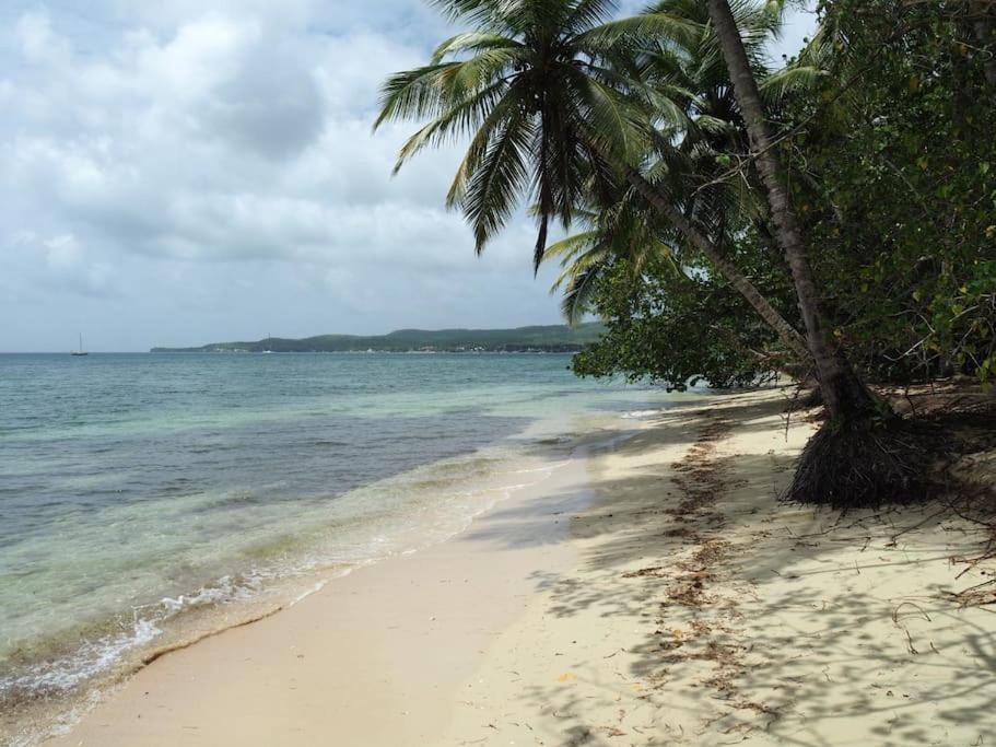 Katalea - Blue Dream, Plage, Piscine, Bar Grand-Bourg (Marie Galante) Exteriér fotografie