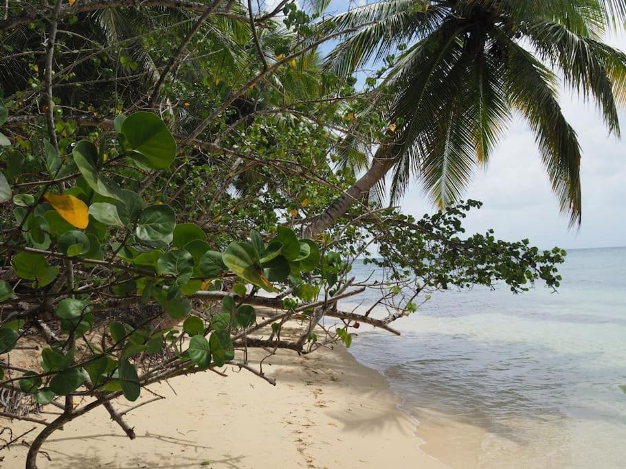 Katalea - Blue Dream, Plage, Piscine, Bar Grand-Bourg (Marie Galante) Exteriér fotografie