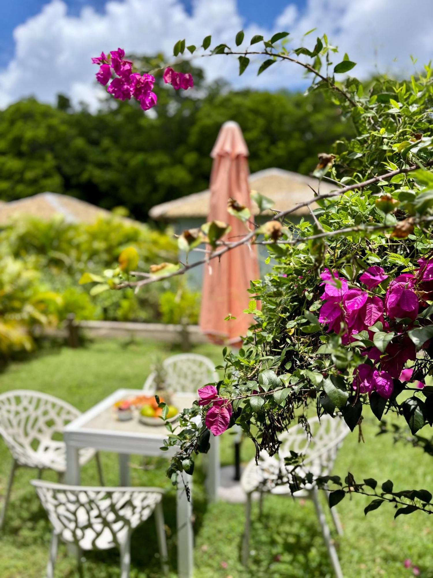 Katalea - Blue Dream, Plage, Piscine, Bar Grand-Bourg (Marie Galante) Exteriér fotografie